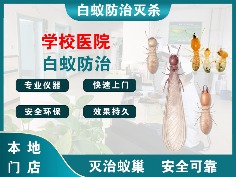 崇川区学校医院白蚁防治