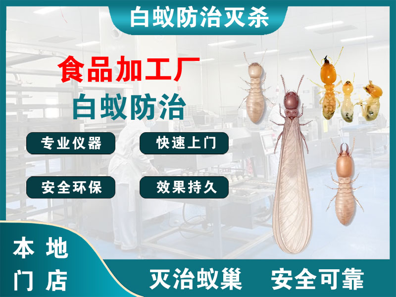 崇川区食品加工厂白蚁防治