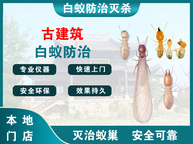 崇川区古建筑白蚁防治